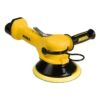 מלטשת צהובה-שחורה דו-ידנית, מבט אלכסוני