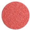 Red round abrasive disc, front view