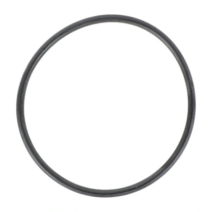 אטם O-Ring‏ MPP1316 ל-PBS 10 מוצג על רקע לבן - O-Ring MPP1316 for PBS 10 shown on a white background