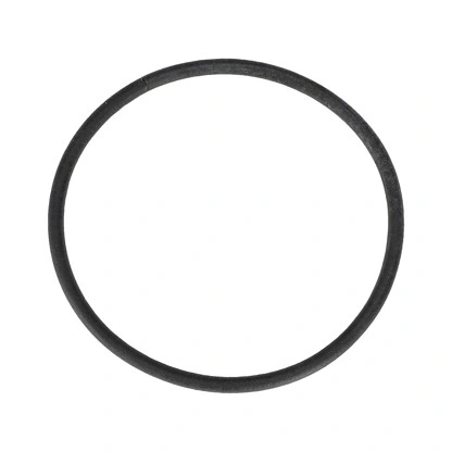 צילום מוצר של אטם ל-DE 1025, 1125 L - Product view of Sealing for DE 1025, 1125 L