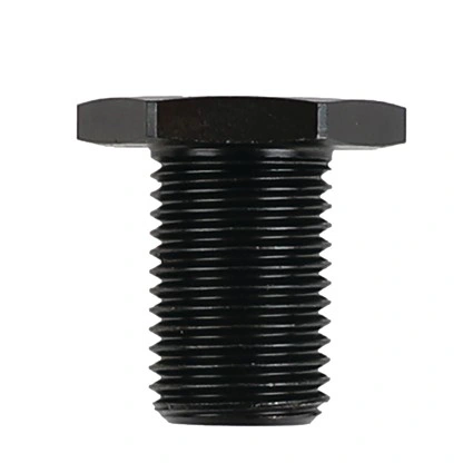 צילום מוצר של בורג פלטה 12x1.25 מ"מ ל-LEROS, LEROS-S - Product view of Pad screw 12x1,25 mm for LEROS, LEROS-S