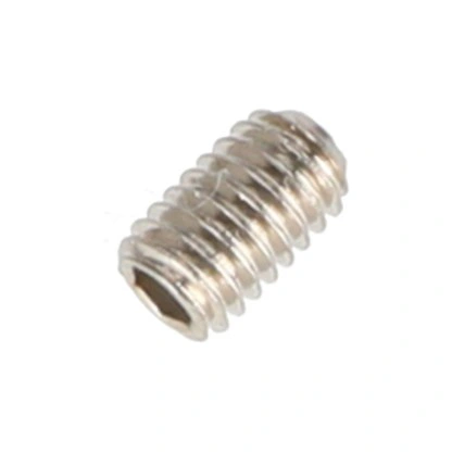 בורג קיבוע AP002 ל-AP300NV מוצג על רקע לבן - Set Screw AP002 for AP300NV shown on a white background