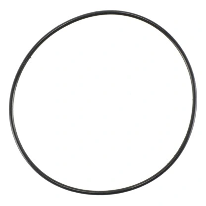 תקריב של אטם O-Ring מס' 12 ל-PS 1437 - Close-up of O-Ring No. 12 for PS 1437