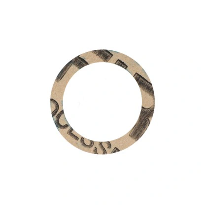 צילום מוצר של אטם AP026 ל-AP 300NV - Product view of Gasket AP026 for AP 300NV
